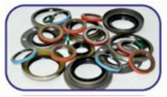 Oil Seals